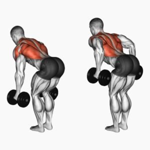 jadwal gym pemula dumbell rows cocok untuk menjadikan otot back