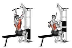 Pull Day Workout Lat pull down