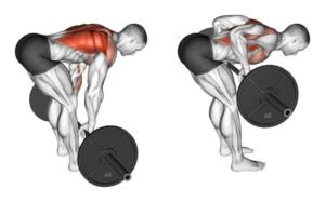 barbell row juga dapat menjadi latihan untuk menguatkan otot punggung