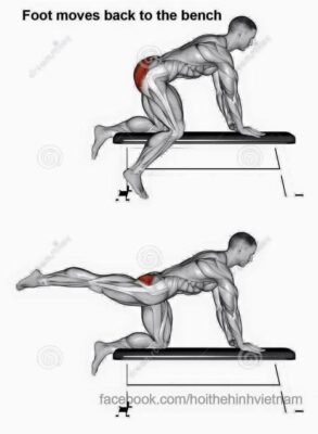 ankle weight adalah latihan otot kaki yang berfungsi membentuk otot bokong