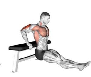 triceps dips juga bisa dilakukan dengan menggunakan bangku bench
