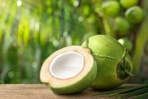 kelapa termasuk kedalam buah tinggi kalori